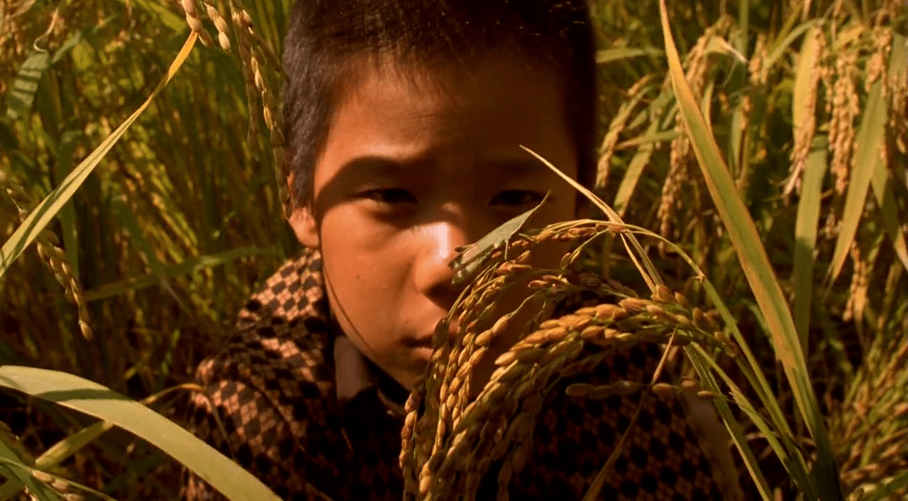 vlcsnap-2016-05-14-10h27m41s504