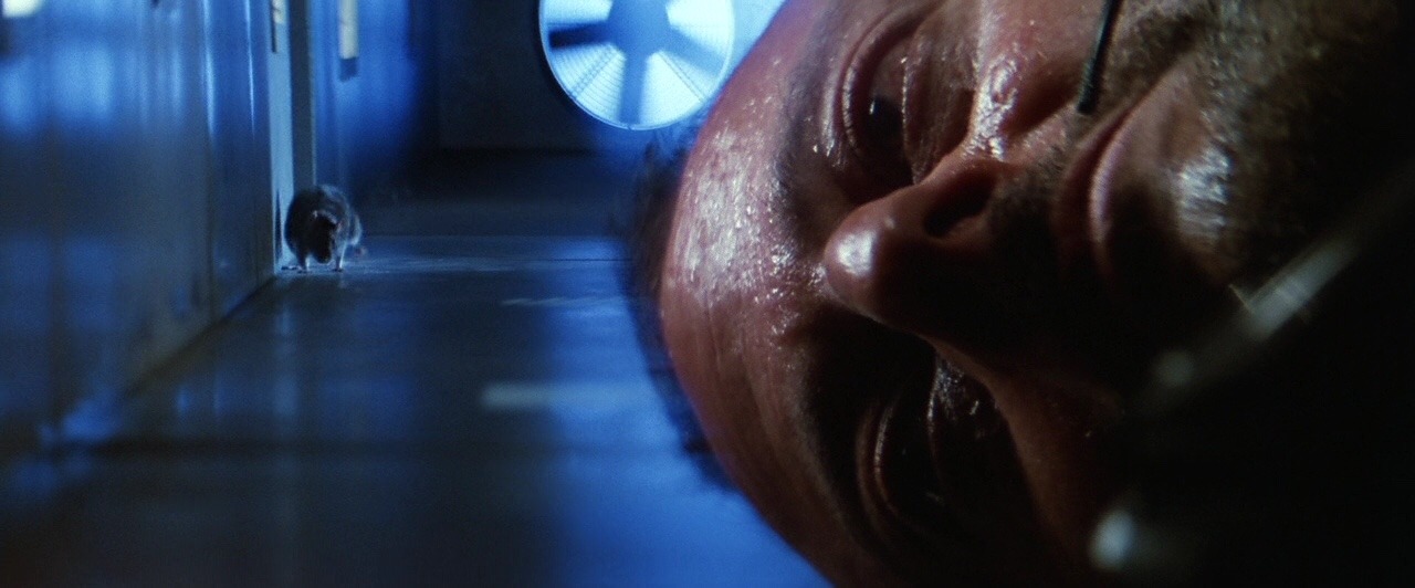 tumblr_p3gkbu41VC1qetb0ho1_1280